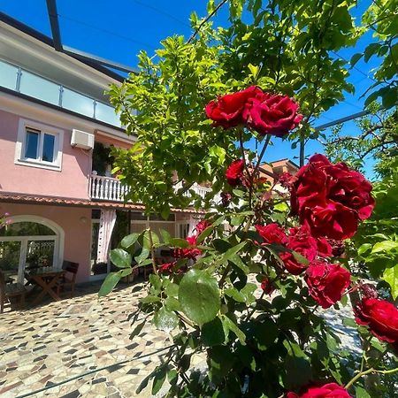 Apartments Tereza Novigrad Istria 外观 照片