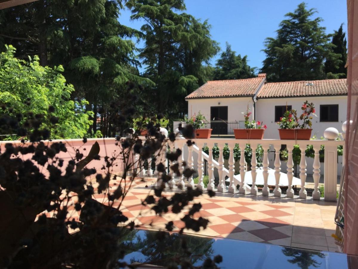 Apartments Tereza Novigrad Istria 外观 照片